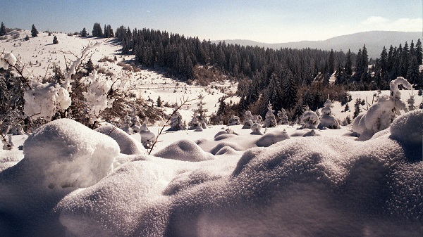 snezni pejzaz zlatar
